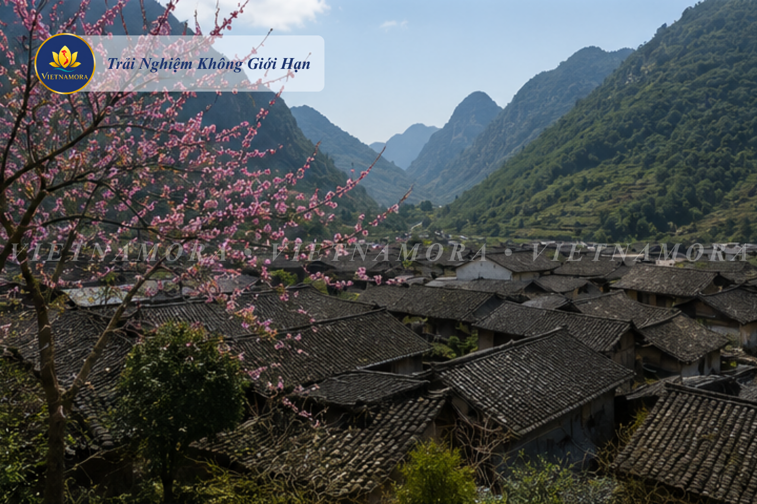 VIETNAMORA | QUỲNH NGUYỄN - PHỐ CỔ ĐỒNG VĂN